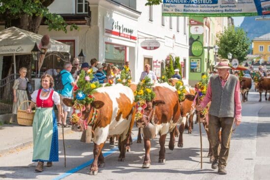 Almabtrieb durch die Innenstadt von Radstadt©TVB Radstadt, Lorenz Masser