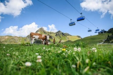 Obertauerns Berge im Sommer, Hochalmbahn ©Tourismusverband Obertauern