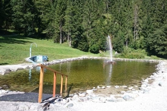 Kleiner Badeteich oberhalb des Wildparks in Untertauern