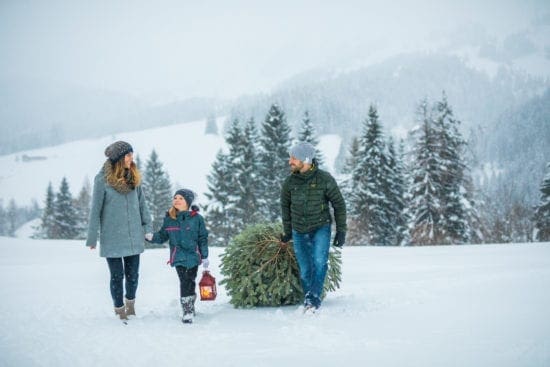 Christbaum nach Hause holen
