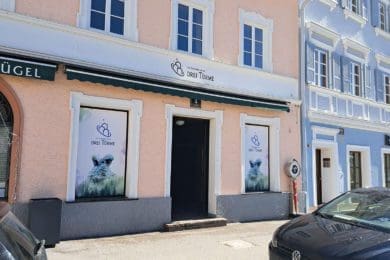 Quer durch Radstadt führen die Rätselstationen von "Das Geheimnis um die Drei Türme"