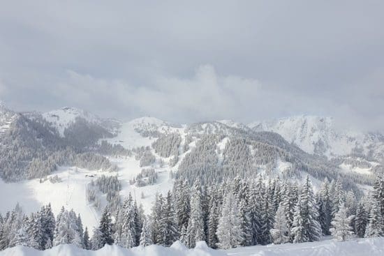 Frischer Schnee und weiße Bergwelt - Skiparadies Zauchensee