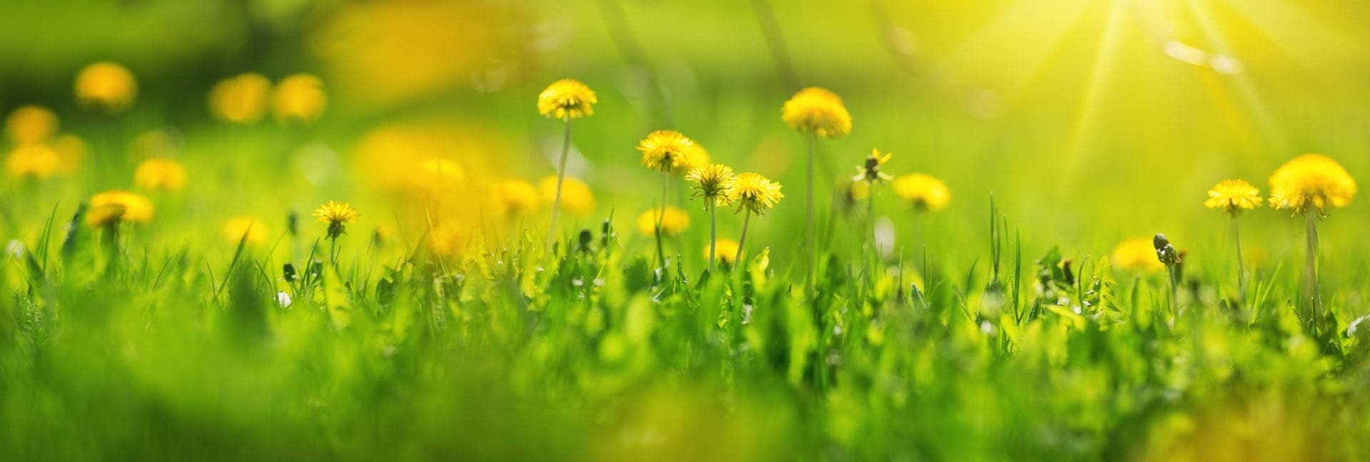 Im Sommer 4 oder mehr Nächte bleiben und im Stegerbräu die ganze Saison über von attraktiven Pauschalen profitieren