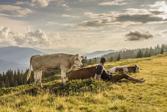 Almsommer im Salzburger Land