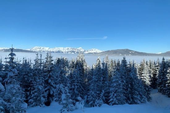 Winter Juchee - auf der Kemahdhöh!