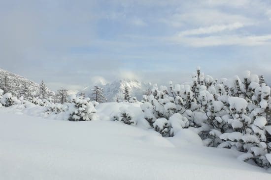 Neuschneealarm Januar 2023 - Winterzauber in der Salzburger Sportwelt